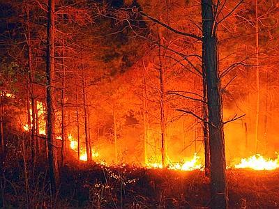 Incendi boschivi: le misure finanziate dall’UE non danno risultati sicuri