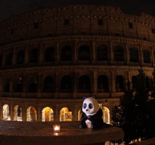 Italy_Rome_Colosseum_©E.Coppola-CEMultimedia-WWFITALIA (1)