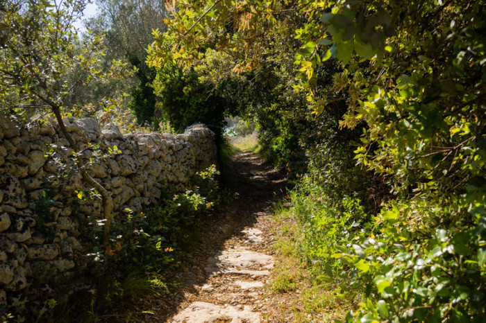 Gli antichi sentieri di Castro e l’insenatura dell’Acquaviva