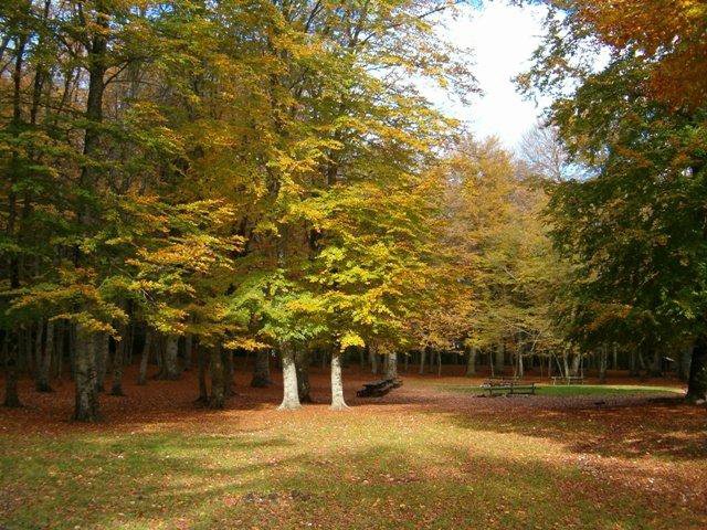 Parco Nazionale del Gargano